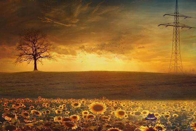 雙魚座的幸運數字是什麼，雙魚座今日的幸運數字是幾