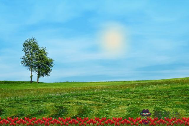 雙魚座的幸運數字是什麼，雙魚座今日的幸運數字是幾