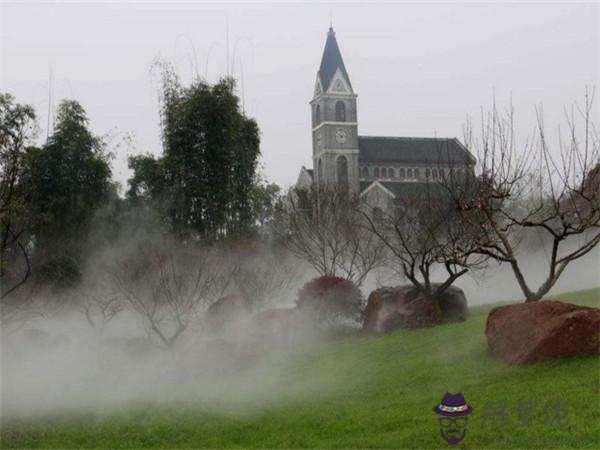 未來10年越來越有錢的生肖女，最富有的屬相