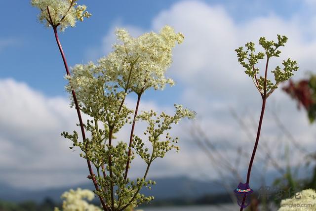 022年更好運的星座，十二星座2022年運勢"