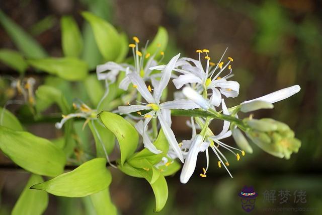 022年更好運的星座，十二星座2022年運勢"