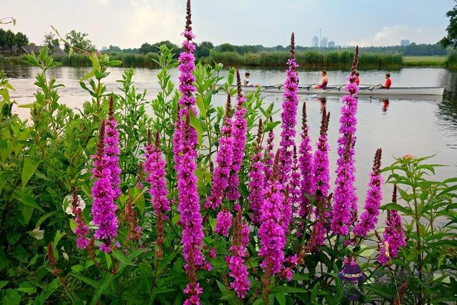 022年更好運的星座，十二星座2022年運勢"