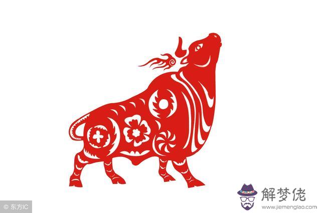 屬牛這個月運氣如何，1973年牛貴人在哪里