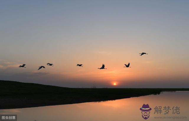 更好的紫微排盤詳批，紫微斗數排盤  步驟