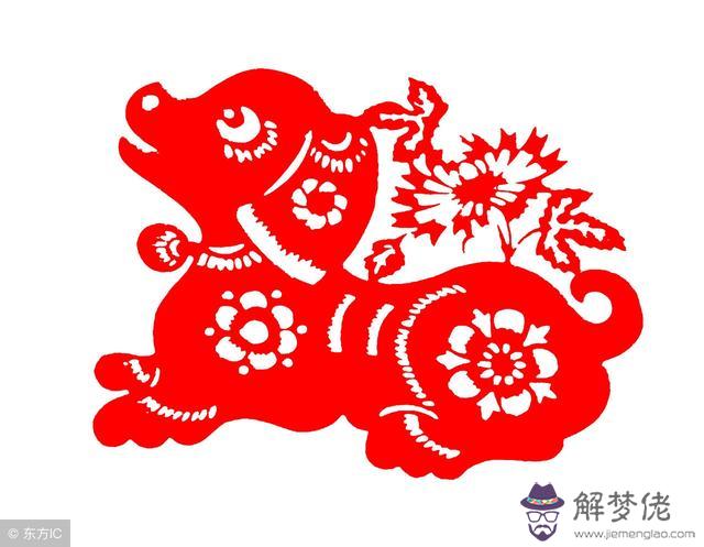 022年狗人的全年運勢如何，2022年屬豬人的全年運勢如何"