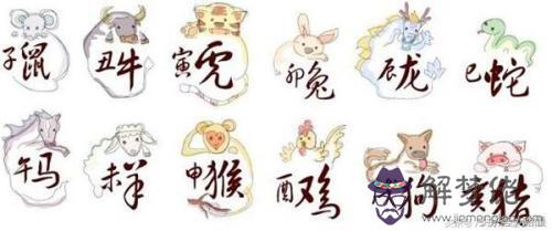 萬年歷查詢屬相，萬年歷十二生肖運勢查詢