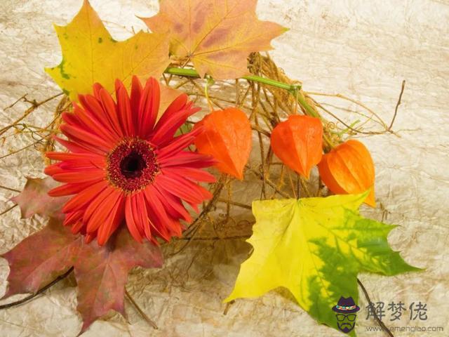 白羊座和什麼星座玩的更好，白羊座和哪個星座配對