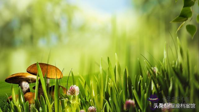 天蝎男喜歡白羊女嗎，天蝎座喜歡白羊女的表現