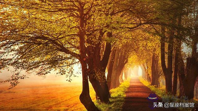 天蝎男喜歡白羊女嗎，天蝎座喜歡白羊女的表現