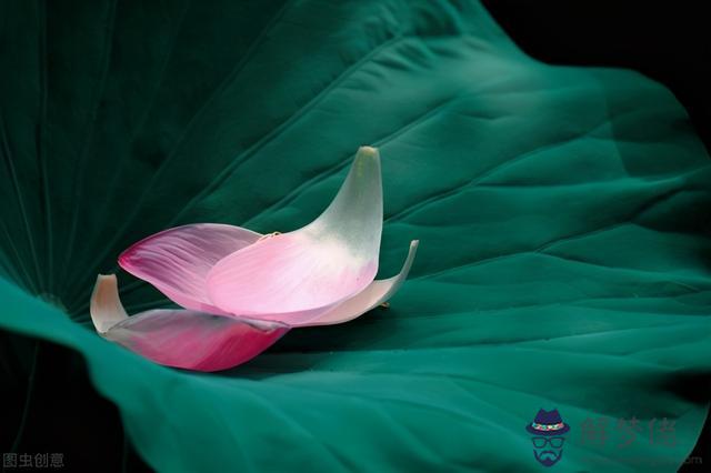 什麼星座最喜歡天秤座，什麼星座最喜歡雙魚座男