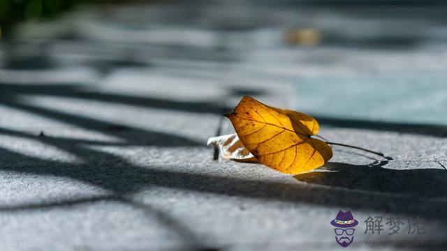 什麼星座最喜歡天秤座，什麼星座最喜歡雙魚座男