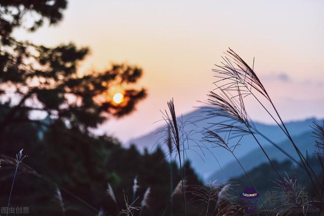 什麼星座最喜歡天秤座，什麼星座最喜歡雙魚座男