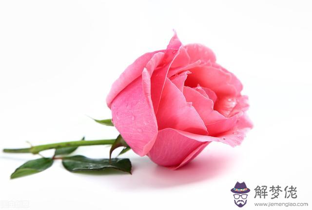 金牛座男和什麼星座最配排名，金牛男越睡一個女人越愛