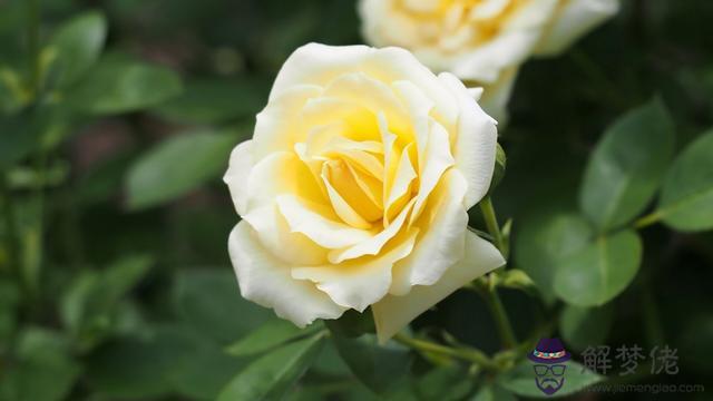 天蝎一生無法放棄的星座，更愛天蝎的三個星座