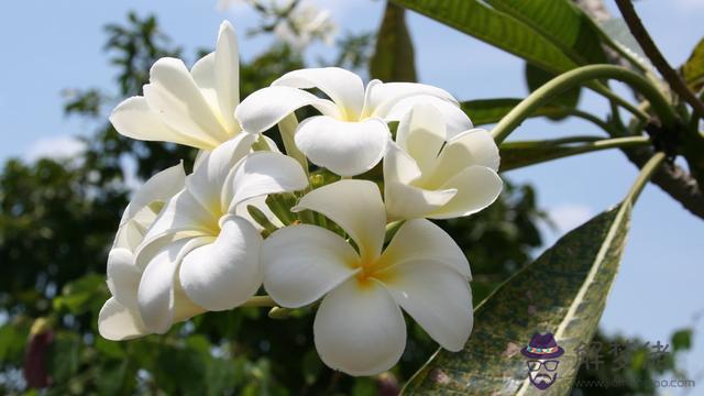 天蝎一生無法放棄的星座，更愛天蝎的三個星座