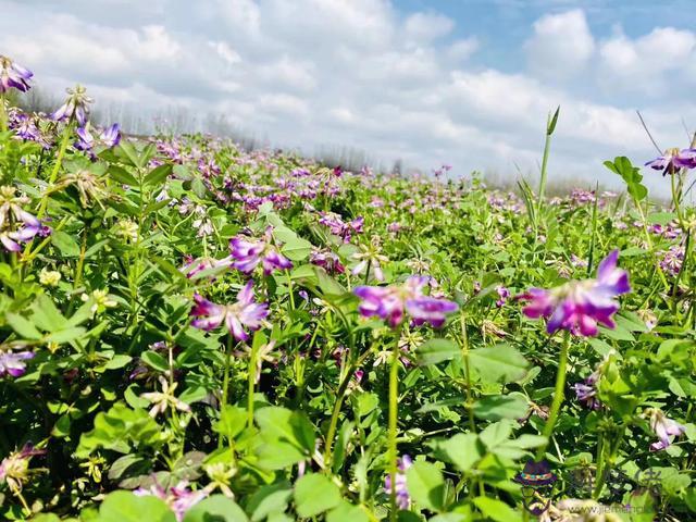 白羊男和12星座女生，星座配對指數