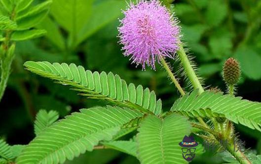 未來30年最旺的生肖，2022 年逆襲的星座