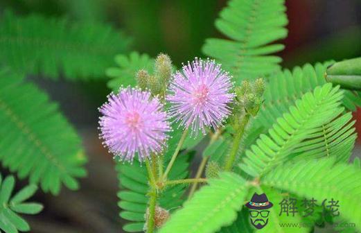 未來30年最旺的生肖，2022 年逆襲的星座