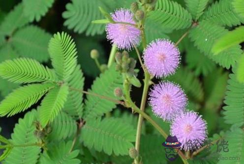 未來30年最旺的生肖，2022 年逆襲的星座