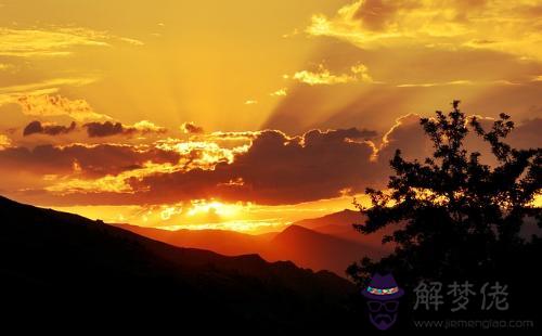 白羊男深愛你的表現，白羊男認定的老婆