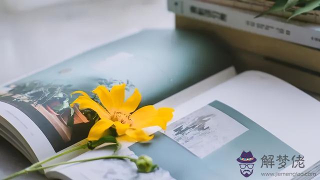 注定愛上雙子女的星座，最容易愛上雙子女的星座男