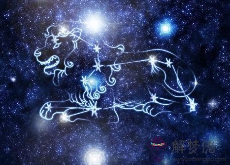 為什麼獅子座的愛情這麼難，兩個天秤座的人談戀愛會怎樣