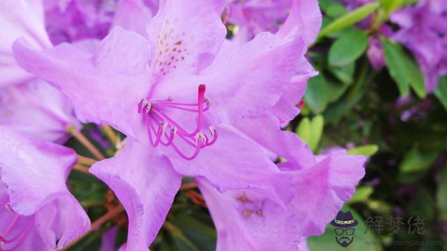 最懂巨蟹座的三大星座，巨蟹座注定的靈魂伴侶