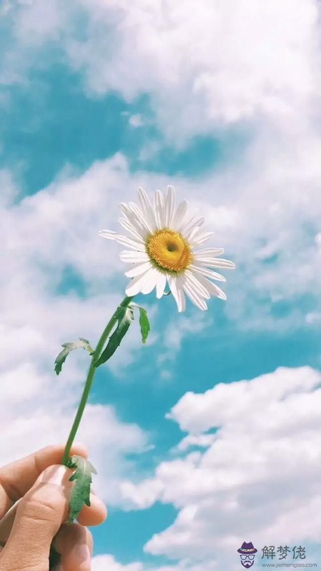 性比愛重要的星座，靈肉合一是什麼姿勢