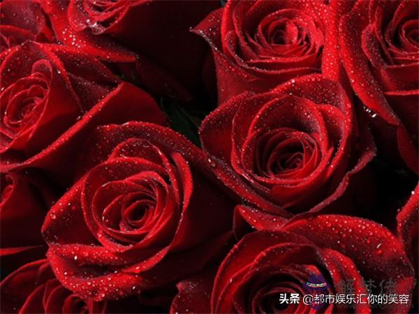 怎樣讓雙魚男重新愛上你，讓雙魚男越來越愛你