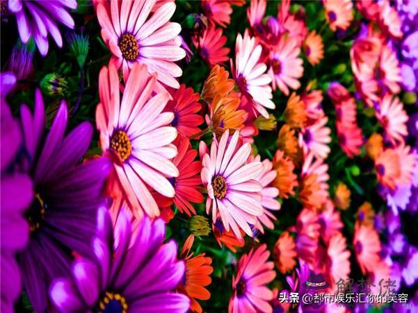 怎樣讓雙魚男重新愛上你，讓雙魚男越來越愛你