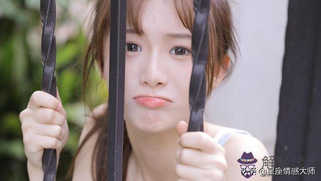 022年運勢分析，2022年生肖運勢完整版"