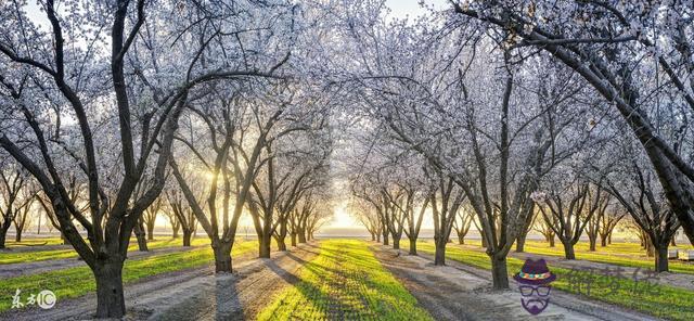 免費算八字看一生運程,免費生辰八字精準詳批