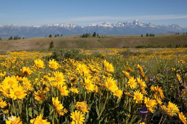 免費算八字看一生運程,免費生辰八字精準詳批