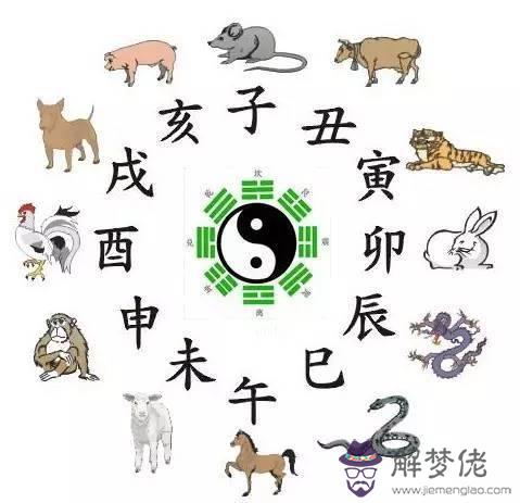 4小時對應五臟六腑,人體器官對應的時間"