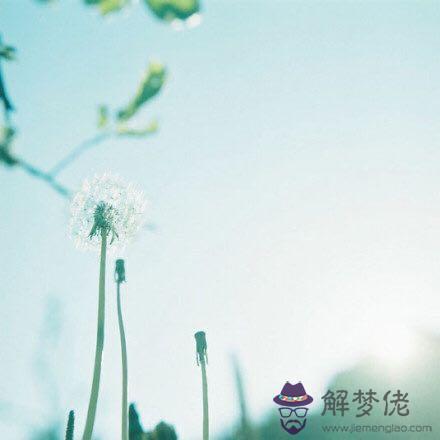 掙錢最有本事的水瓶座，掙錢是真本事