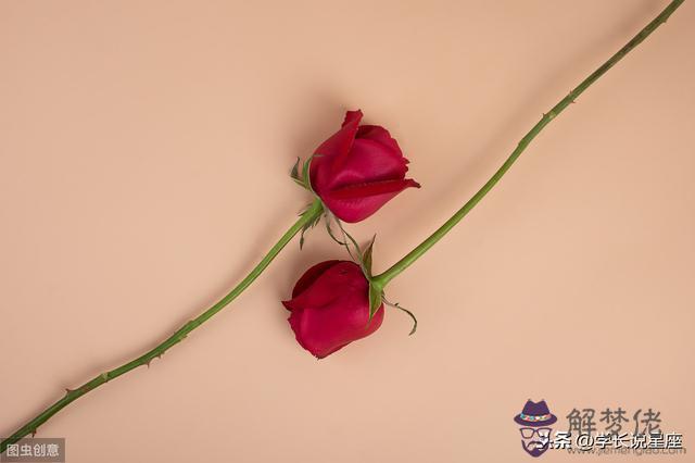 星座配對看什麼星座，十二星座男女配對表