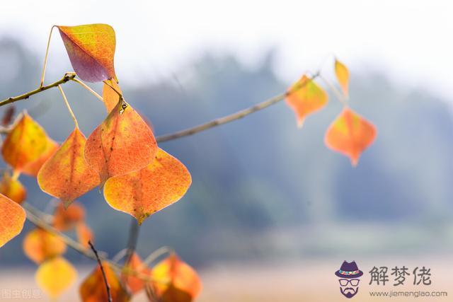 男人主動找你聊天是因為什麼，主動找你聊天的男人