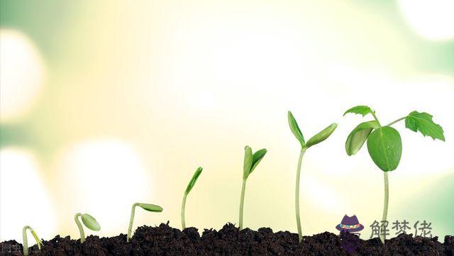 從兩個人的名字看婚姻，姓名配對緣分測試98%