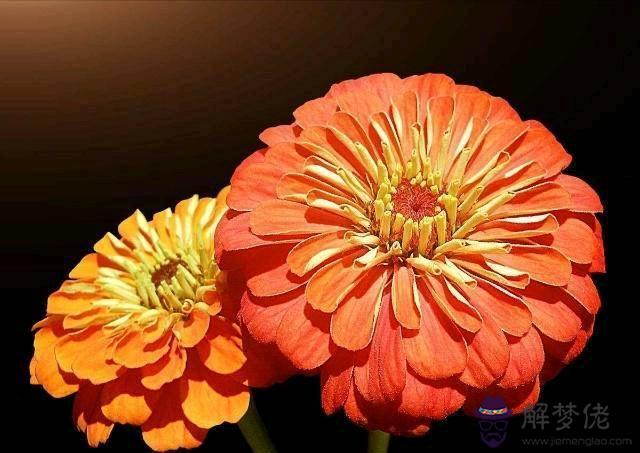 測自己最近有什麼好運，測最近會有什麼好運