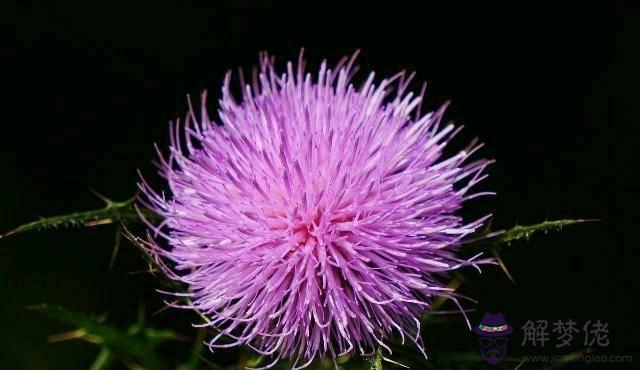 測自己最近有什麼好運，測最近會有什麼好運