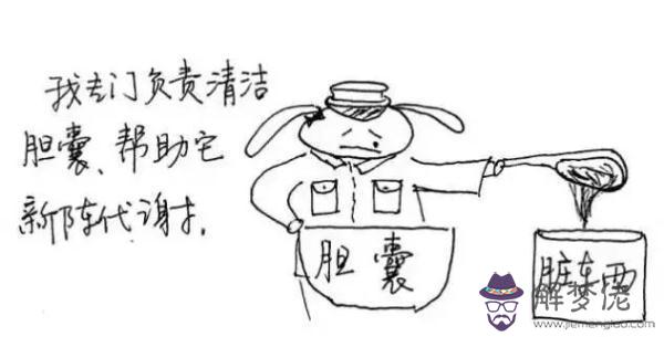 十二經絡運行時間及作用，經絡運行時間表