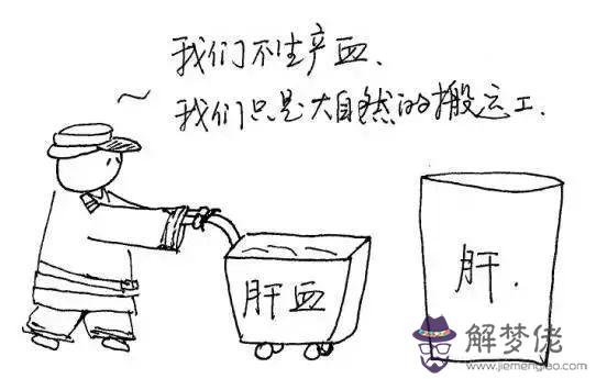 十二經絡運行時間及作用，經絡運行時間表