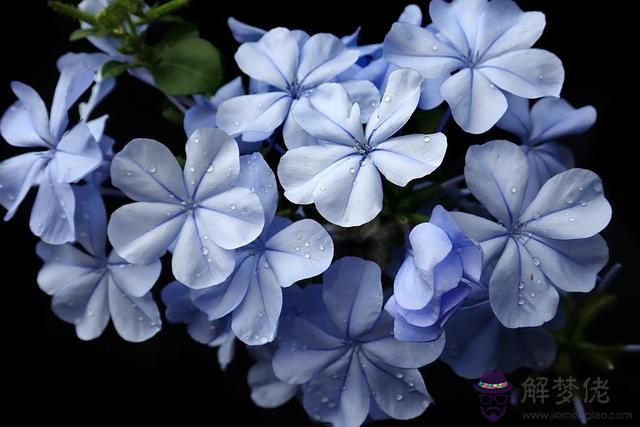 天生智商和情商都很高的星座，12星座的智商情商哪個高