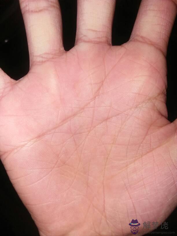 掌紋掃一掃軟件，免費看手相二維碼