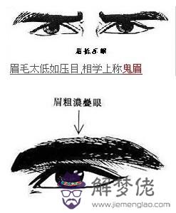看面相最準的絕招，八字算命順口溜 