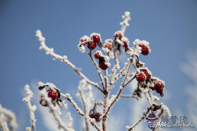 中華萬年歷查詢表，經典萬年歷下載