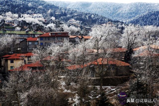 中華萬年歷查詢表，經典萬年歷下載