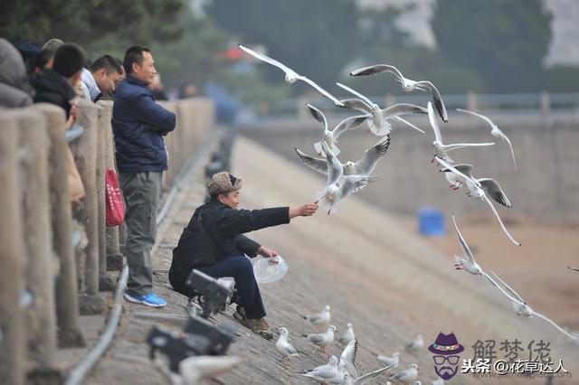 中華萬年歷查詢表，經典萬年歷下載