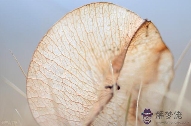 雙子男越來越愛你的表現，雙子座越愛你越不 你