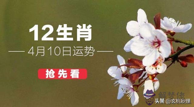 十二生肖今日明日運勢，十二生肖與人生運勢